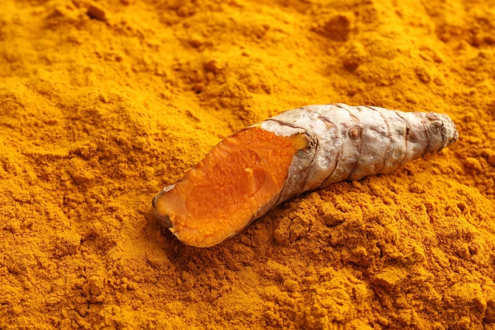 Does Turmeric Increase Stem Cells? 1 Turmeric root and powder highlighting curcumin benefits for stem cell health.