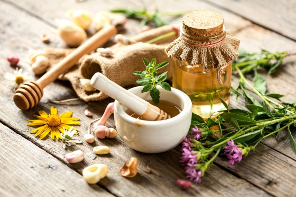 What Herbs Increase Stem Cells? 1 A variety of fresh herbs that naturally support stem cell health and enhance cell regeneration.