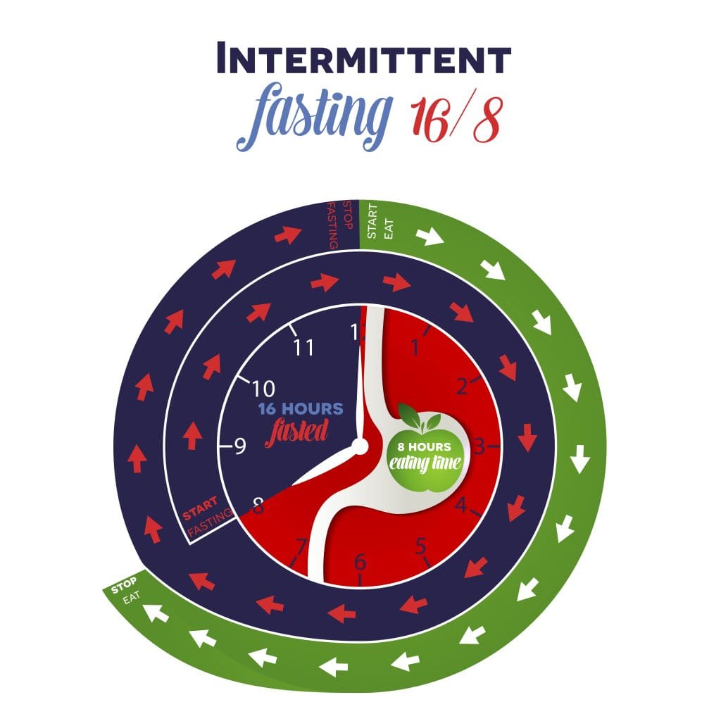 The impact of fasting on stem cell growth, showing intermittent fasting and cellular regeneration benefits
