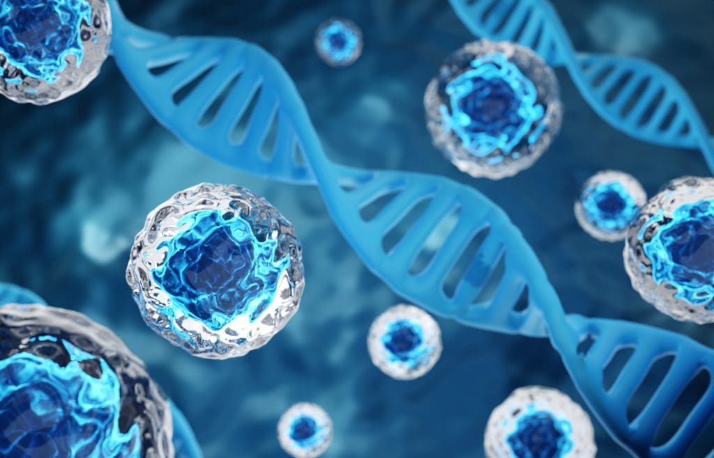 What is the best supplement for stem cells? 1 shutterstock 2534822197 LIV Hospital