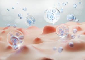 How Many Hours of Fasting for Cell Repair?