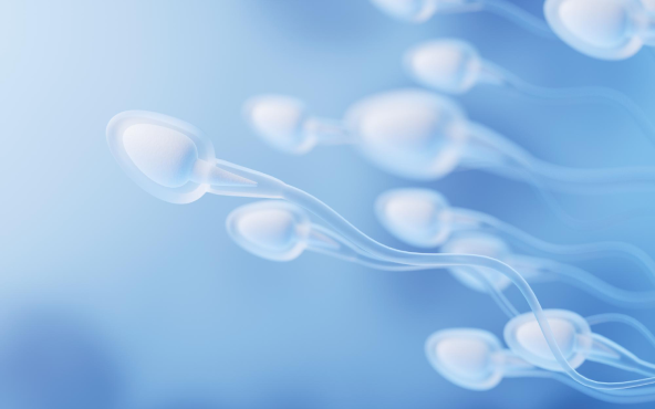 Low Sperm Count: Complete Friendly Guide