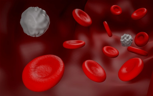 Myelodysplastic Syndromes: New Hope