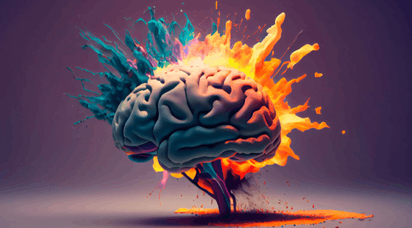 Spinal Cord Functions: Hidden Health Risks