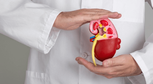 Health Guide 7 Adrenal Cancer: 5 Powerful & Hopeful Tips