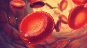 Mediterranean Anemia (Thalassemia)