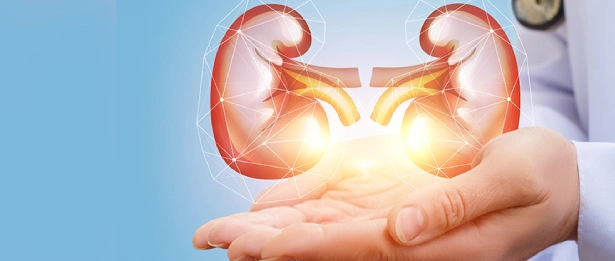 Clinics 2 Nephrology Clinic
