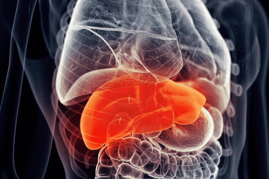 At What Age Is Hepatoblastoma Predominantly Diagnosed? Hepatoblastoma Appearance 2 At What Age Is Hepatoblastoma Predominantly Diagnosed? Hepatoblastoma Appearance