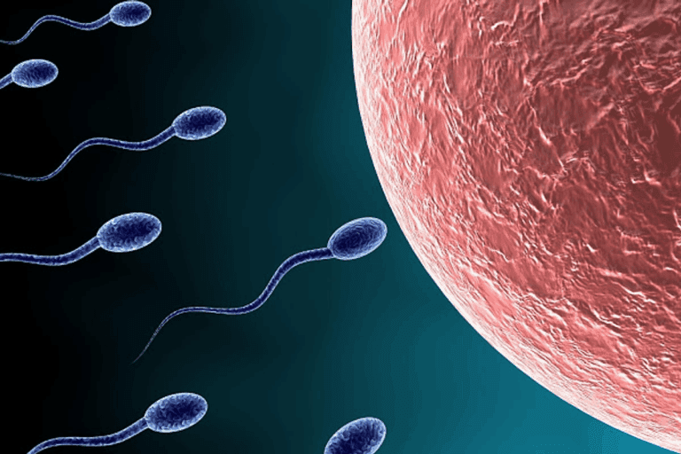 Herbs for Increasing Sperm Count: 7 Best Options