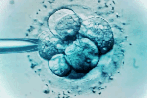 Managing ivf cold symptoms Safely (Medication Guide)