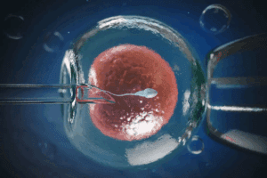 Feeling Ovaries During IVF Stimulation: Key Facts