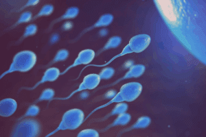 Causes of abnormal seminal fluid and Sperm Issues