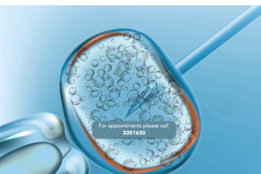 Guidelines: can you have sex while doing ivf?
