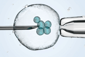 Overview of controversial infertility treatments and Ethical Issues
