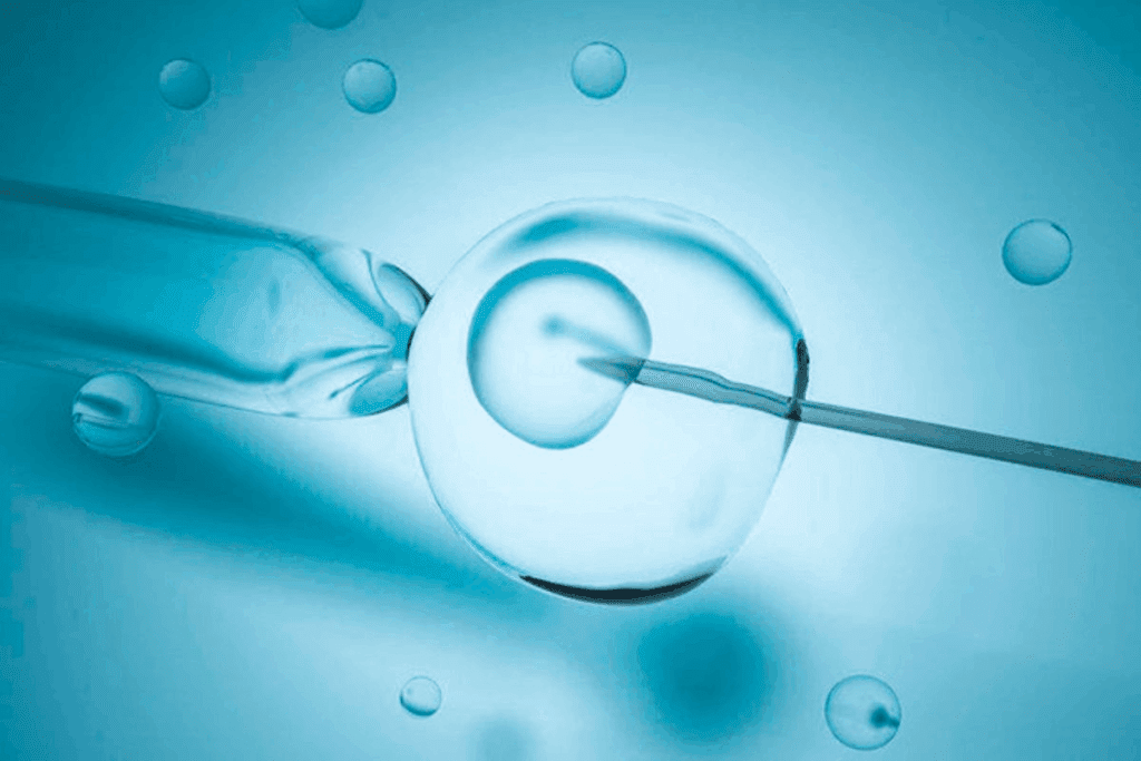 The Meaning: what does the v in ivf stand for (Vitro)