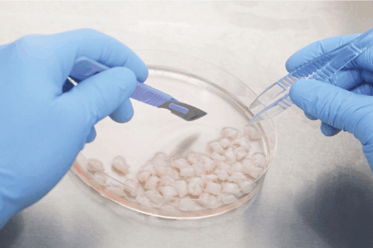 Protocol for Using zinc and sperm count Supplements