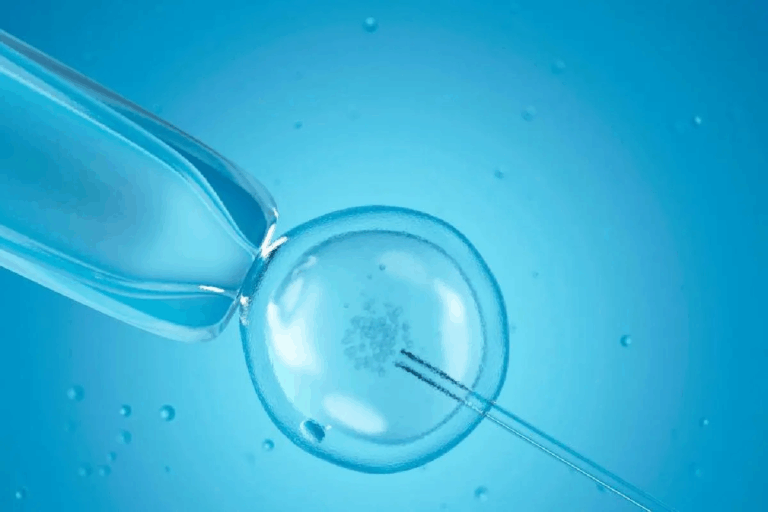 Success Rates for 7 eggs retrieved ivf and What it Means