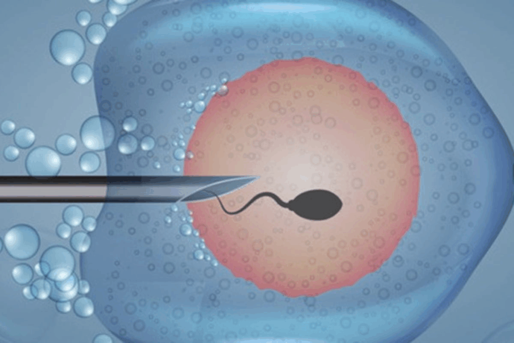 Average Yield: How Many Embryos Per IVF Cycle?