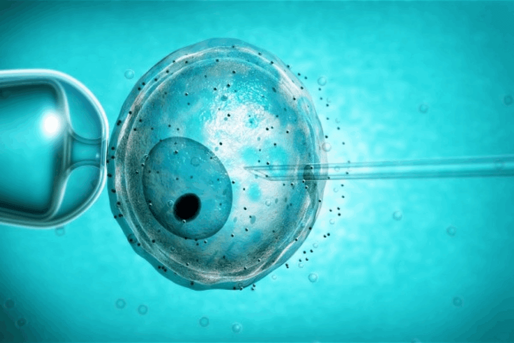 Proven Methods On How To Increase Ivf Success Naturally