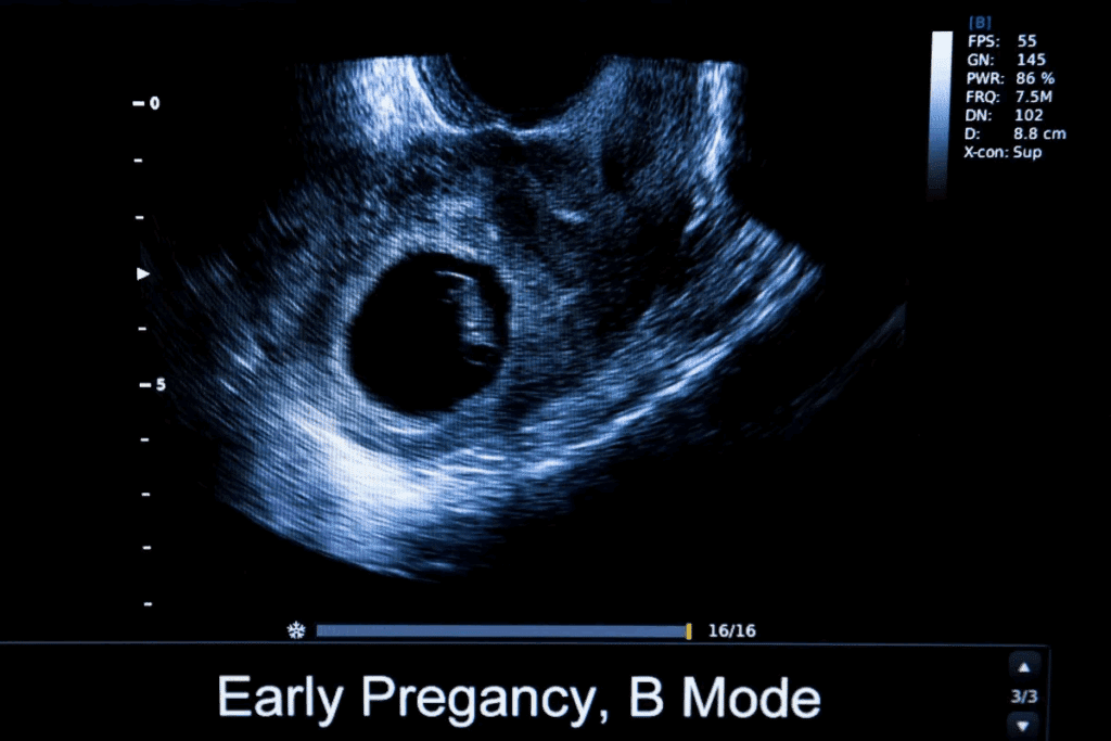 The Answer: can you feel your fallopian tubes from the outside? 2 The Answer: can you feel your fallopian tubes from the outside?