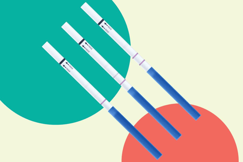 Common Reasons Why am I not Ovulating This Month 2 Common Reasons Why am I not Ovulating This Month