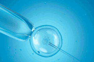 The 7 Key embryo growth stages ivf Explained