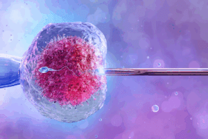 The Key blastocyst implantation stages Day by Day
