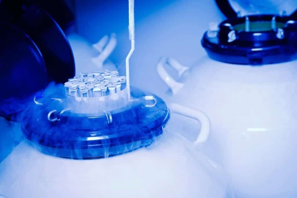 Guide to the egg freezing success rate calculator