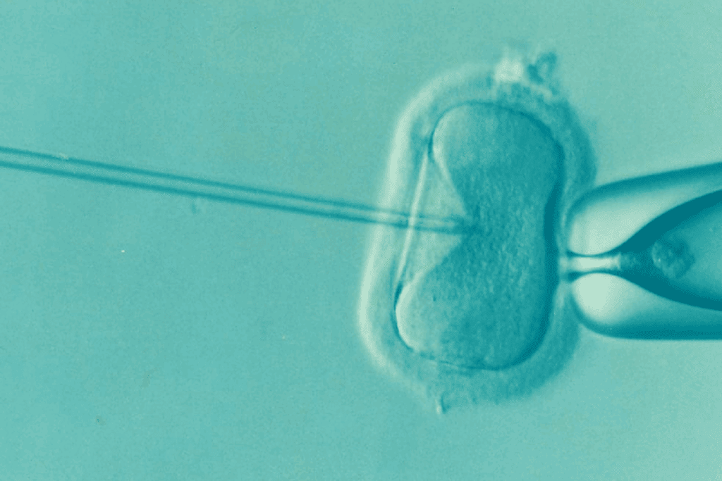 image 28438 LIV Hospital