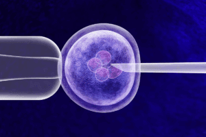 Key Difference Between Embryo and Blastocyst Transfer Days