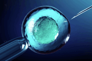 Blastocyst Culture: how many embryos make it to day 7?
