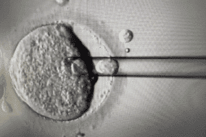 Research on: does orgasims help with implantation After Transfer?