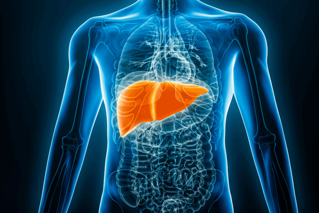 Liver Tumor Detection: Key Tests for Quick and Accurate Results