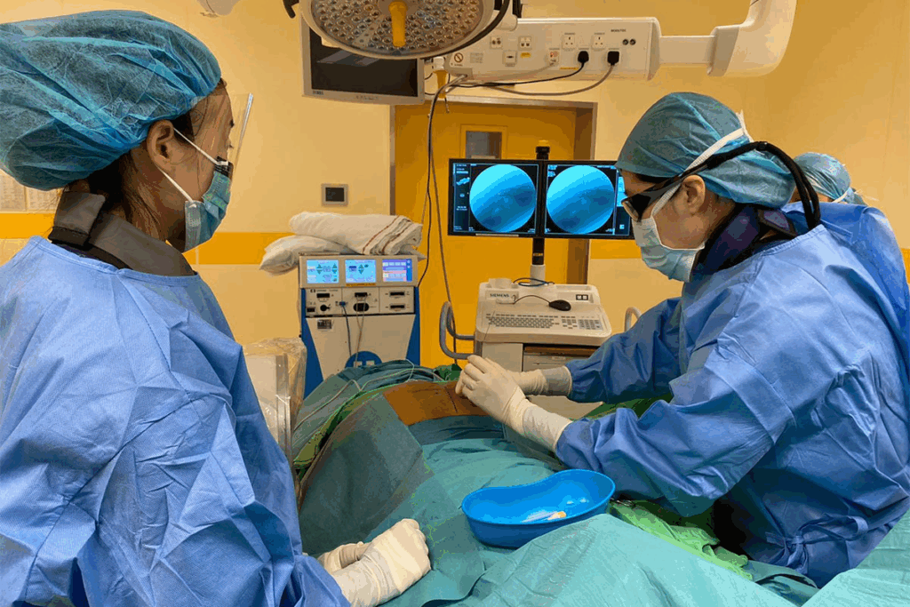 Can You Live Without a Urinary Bladder? Life After Removal 2 Can You Live Without a Urinary Bladder? Life After Removal