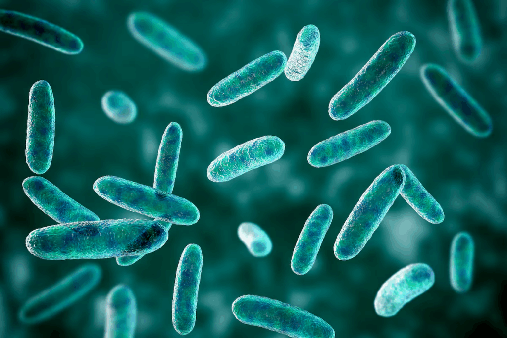 Oropharyngeal Cancer Survival Rate 2 Oropharyngeal Cancer Survival Rate