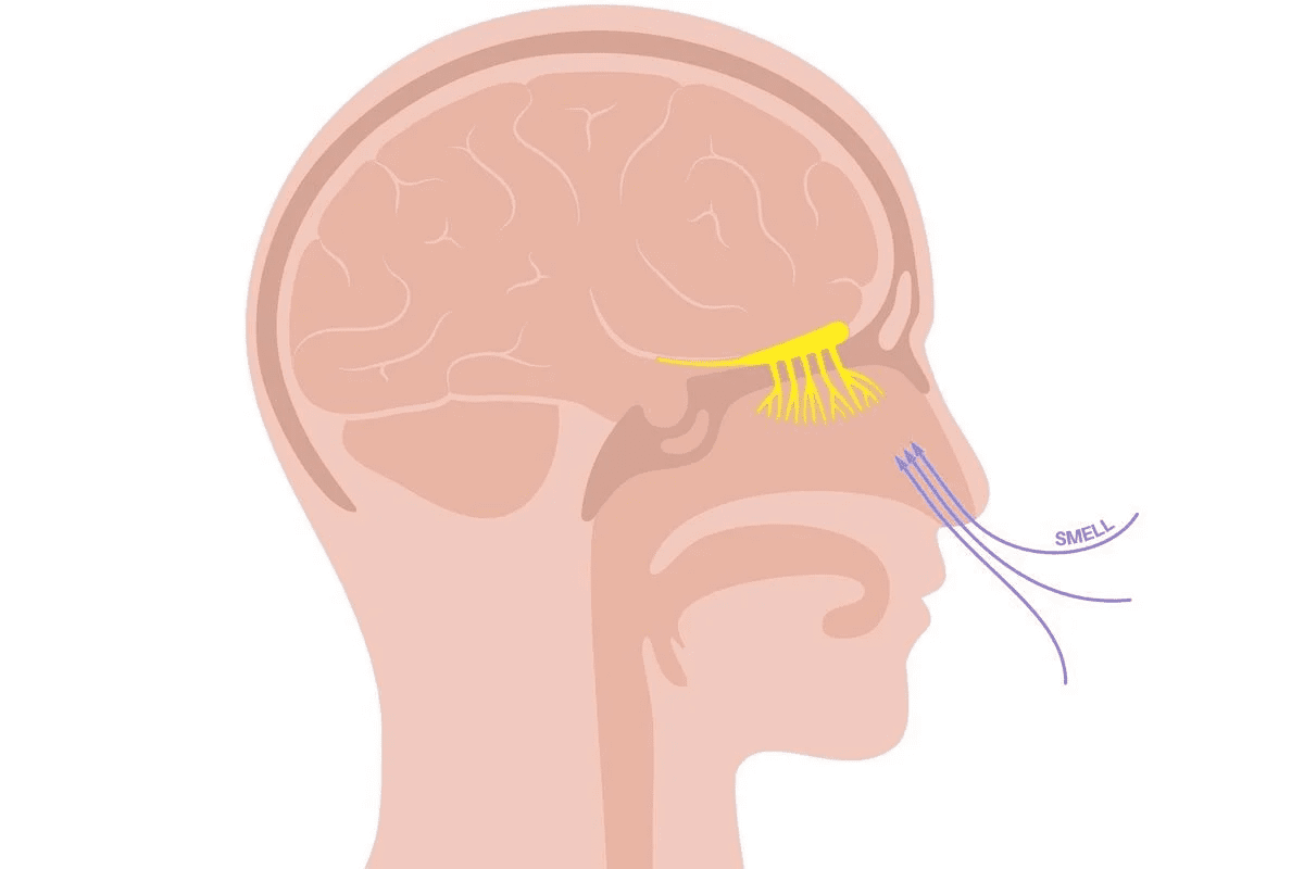 Rhinosinusitis Contagious: How It Spreads