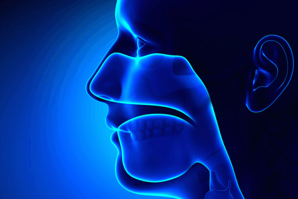 Can You Catch a Sinus Infection?