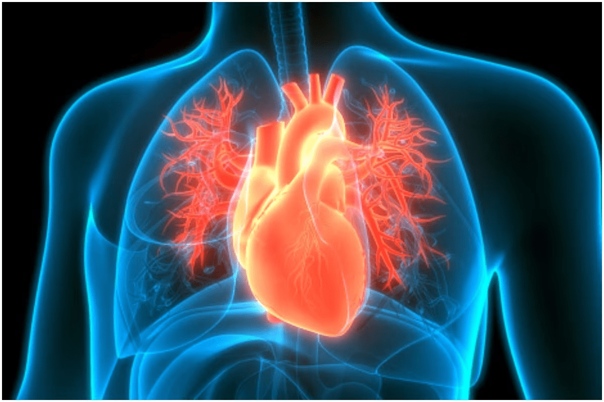 Sleep Apnea Heart Problems Explained