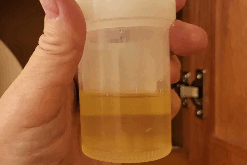 image 23296 LIV Hospital