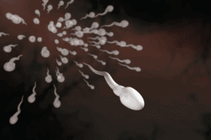Sperm Concentration: Normal Count Range Explained