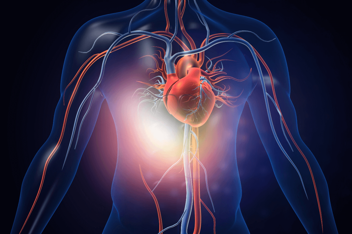 LAD Artery Blockage: 7 Critical Key Symptoms & Steps