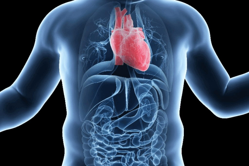 Cardiac Congenital Defects Overview