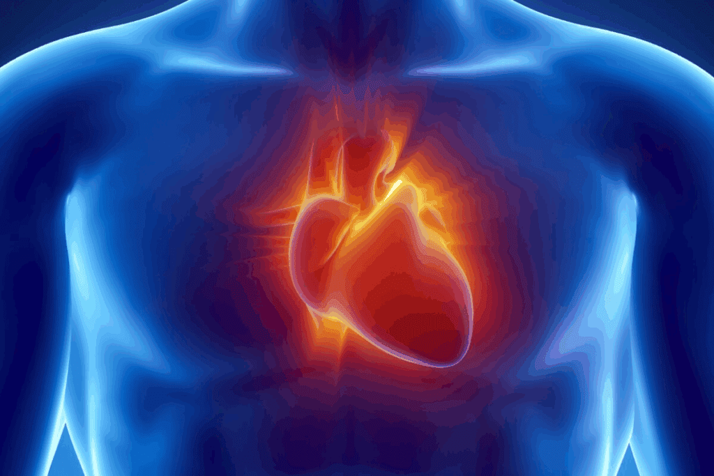 Cardiac Congenital Defects Overview