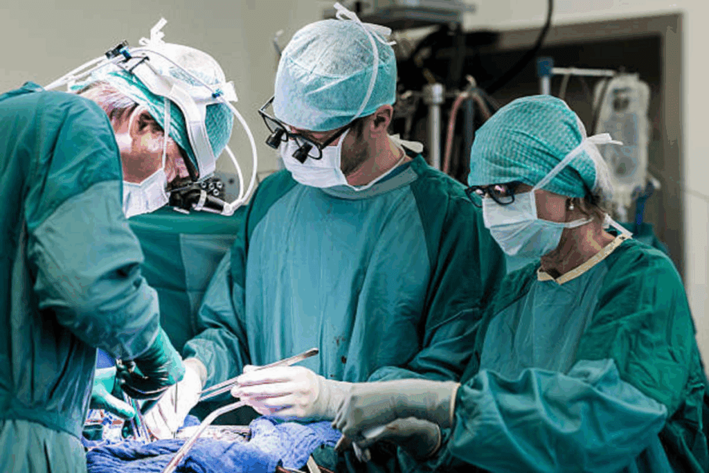 6 Months After Heart Ablation: What to Expect 1 6 Months After Heart Ablation: What to Expect