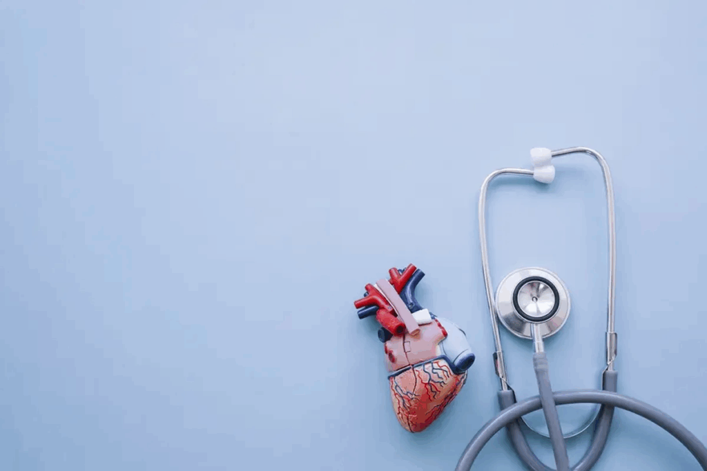 Structures of the Heart Labeled