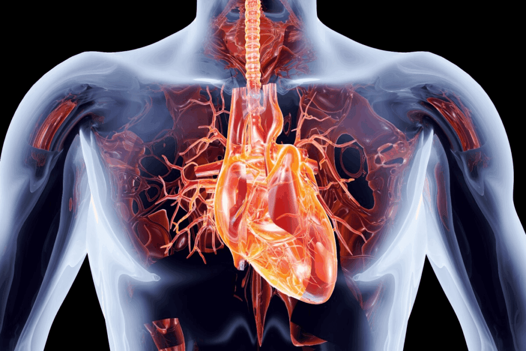 image 20870 LIV Hospital