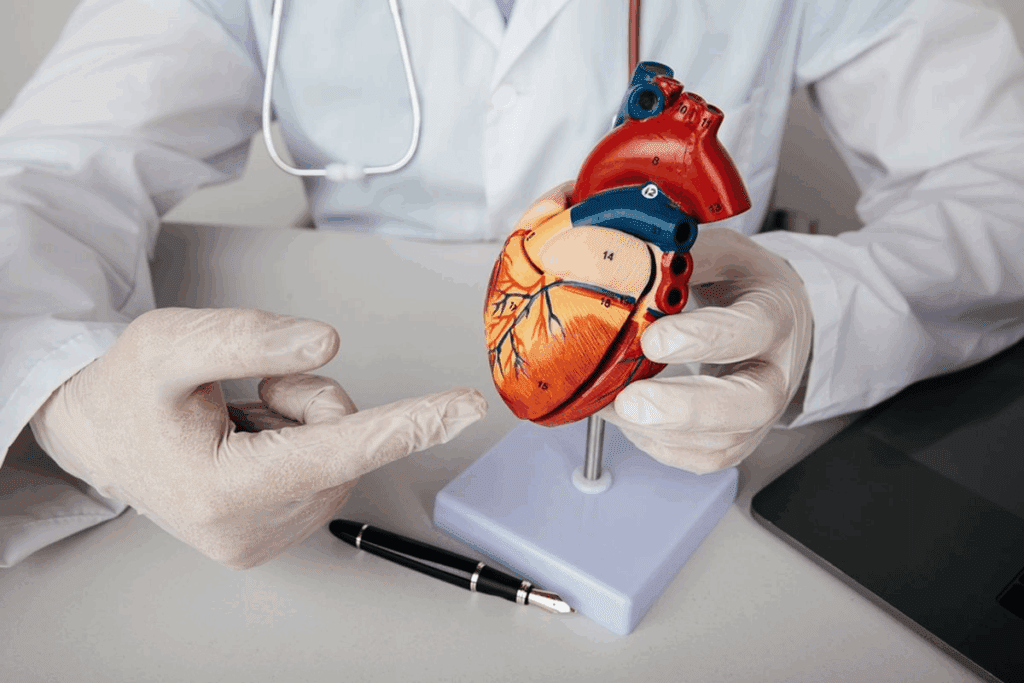 What Is Meant by Cardiologist? Definition & Meaning