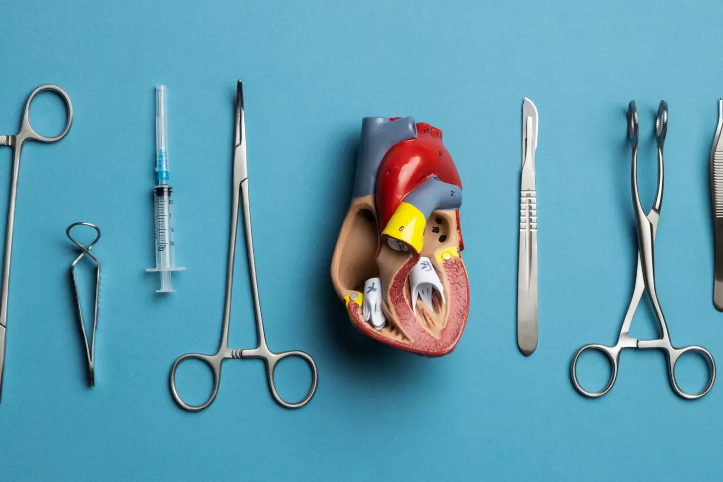 Heart Valve Replacement: 5 Types, Options, and What Sets Them Apart