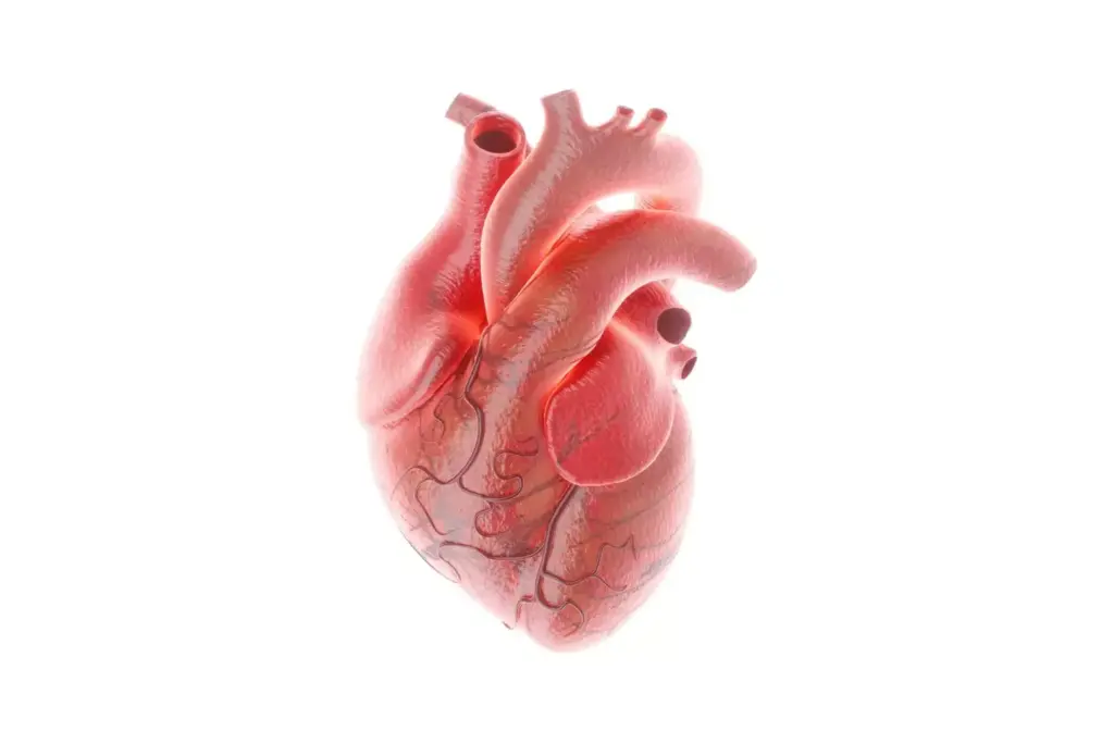 Anatomical diagrams showcasing the types of valve stenosis treatable with balloon valvuloplasty. Detailed, high-resolution, medical illustration depicting the aortic, mitral, and pulmonary valve leaflets in cross-section. Crisp, clear lines delineating normal valve structure versus stenotic valve morphology. Subtle, muted color palette highlighting the key anatomical features. Cutaway views reveal the internal valve mechanisms and surrounding cardiac anatomy. Thoughtful use of lighting and perspective to enhance depth and clarity. Objective, technical style suitable for a medical journal or textbook illustration.
