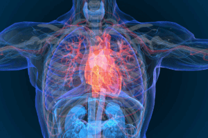 How to Prevent Coronary Heart Disease